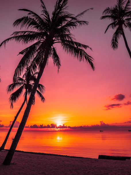Tropisch strand zee en Oceaan met coconut palm tree bij zonsopgang voor reizen en vakantie - Foto, afbeelding