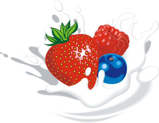 φράουλα, βακκίνιο, βατόμουρου σε γιαούρτι ή γάλα - Διάνυσμα, εικόνα