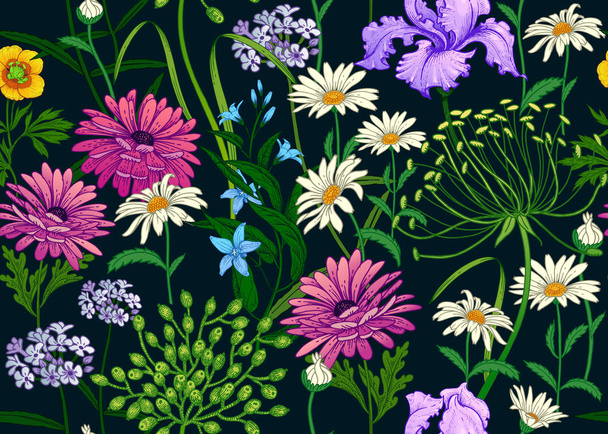 Wild flowers. Seamless summer pattern with chamomile, berries, herbs, bells, irises. Floral background for printing on wallpaper, paper, textiles, fabrics. Hand drawing sketch. Fashion illustration. - Vektor, Bild
