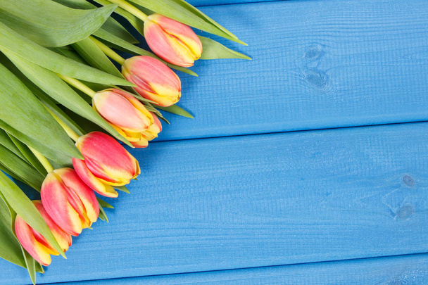 Bouquet of fresh tulips on blue boards, place for text or inscription - Fotoğraf, Görsel