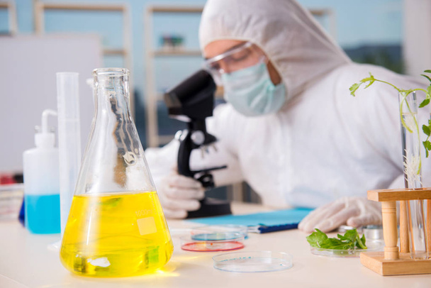 männlicher Biotechnologie-Wissenschaftler Chemiker im Labor  - Foto, Bild