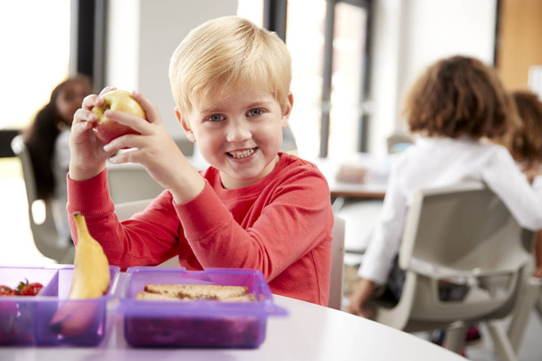 Young white schoolboy sitting at a table smiling and holding an apple in a kindergarten classroom during his lunch break, close up - Foto, afbeelding