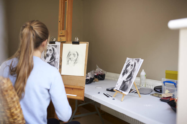Rear View Of Female Teenage Artist Sitting At Easel Drawing Picture Of Dog From Photograph In Charcoal - Фото, изображение