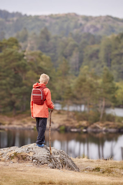 back view of boy standing on rock holding a stick, Lake District, UK - Zdjęcie, obraz