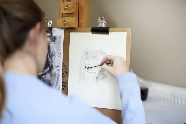 Close Up Of Female Teenage Artist Sitting At Easel Drawing Picture Of Dog From Photograph In Charcoal - Foto, Imagen