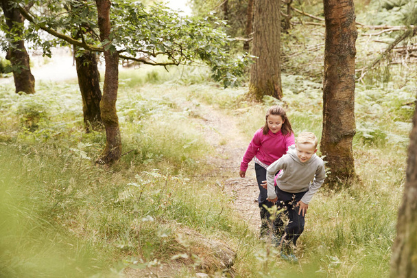 Elevated view of two children hiking up a slope in a forest, selective focus, full length - Photo, Image