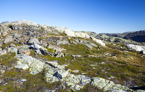 Norveç Güney güneşli bir dağda. - Fotoğraf, Görsel
