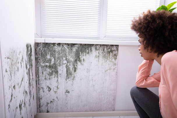Side View Of A African Young Woman Looking At Mold On White Wall - Foto, Bild