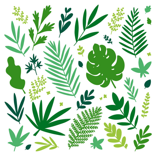 Collezione vettoriale di silhouette di foglie tropicali
 - Vettoriali, immagini