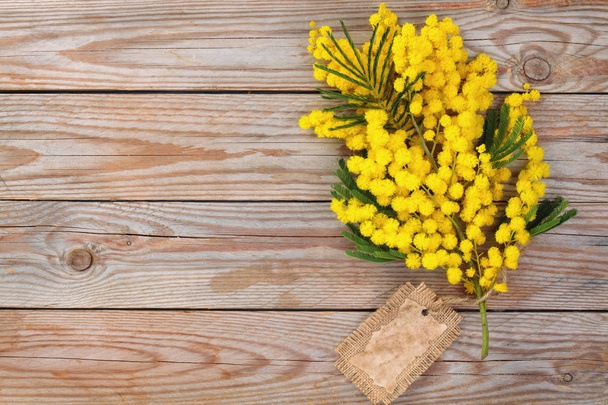 Nahaufnahme von Mimosen-Blumen auf rustikalem Holzgrund. - Foto, Bild