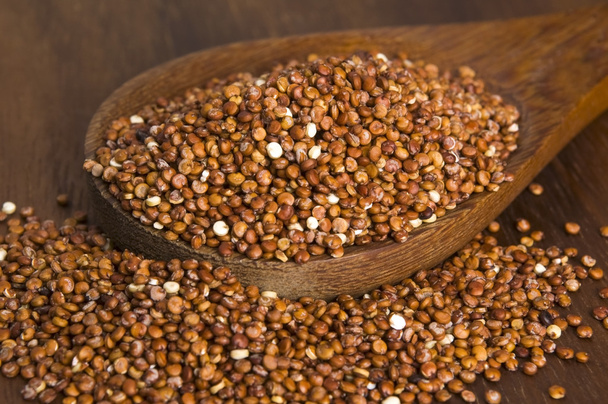 Quinoa grain - Foto, Bild