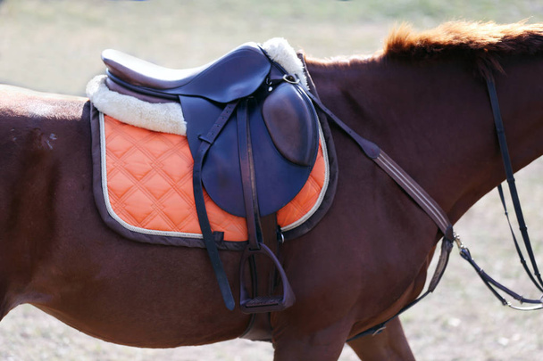 Photo of a beautiful leather sport saddle on equestrian competition - Foto, afbeelding