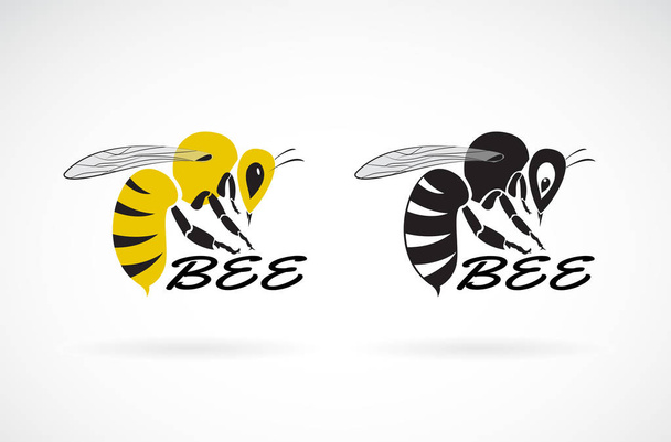 Vektor des Bienendesigns auf weißem Hintergrund. Insekt. Tiere. Einfach editierbare mehrschichtige Vektorabbildung. - Vektor, Bild