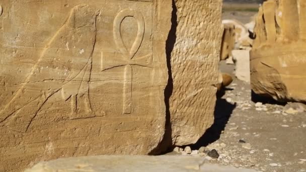 крупным планом снята стена в античном храме черных фараонов, посреди пустыни, Беренис, Африка
 - Кадры, видео