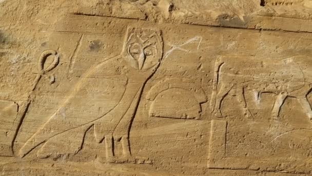 Close-up beelden van de muur bij antieke tempel van de zwarte farao's, in het midden van de woestijn, Berenice, Afrika - Video
