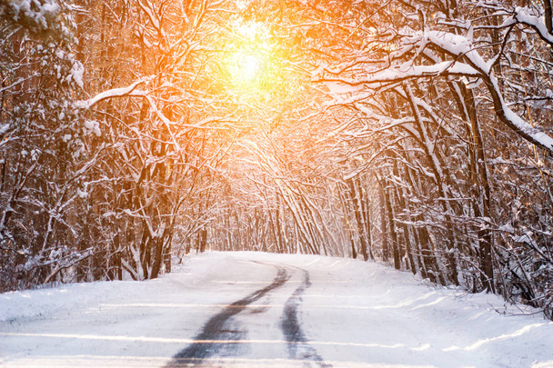 camino de invierno a través del bosque - Foto, imagen
