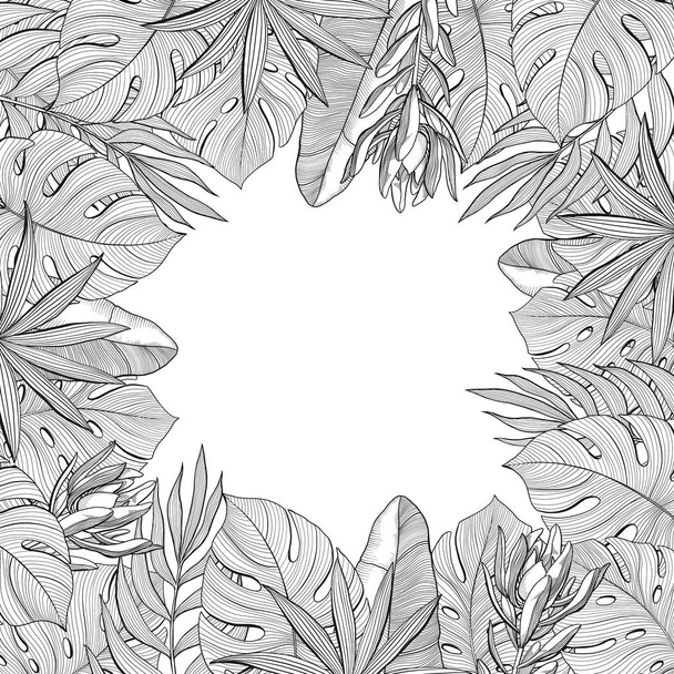 Square frame, banner template made of tropical, jungle palm leaves, hand-drawn vector illustration isolated on white background. Square frame with tropical, jungle leaves, hand drawn, black and white - Вектор,изображение