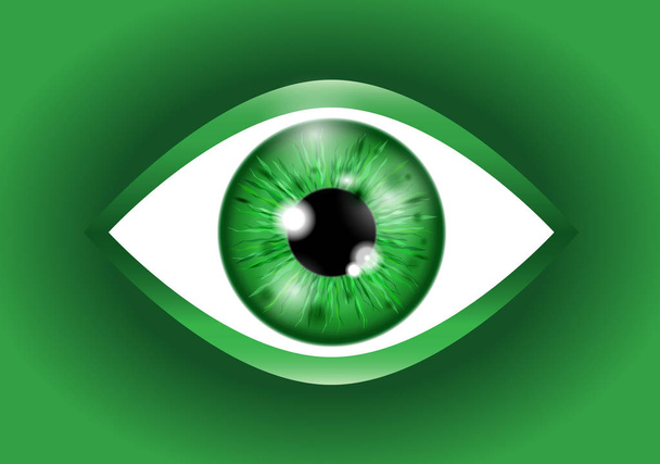 een groene realistische oogbol - Vector, afbeelding