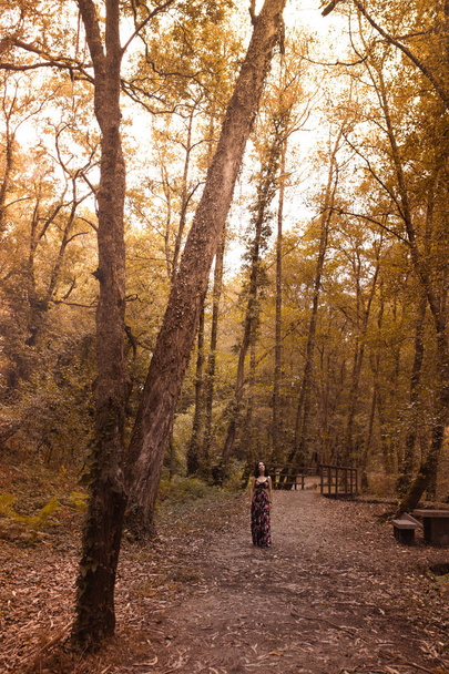 Femme marche à travers la forêt en automne tout en regardant la nature
 - Photo, image