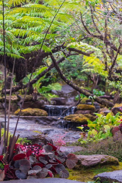 Stream flows through cozy home flower garden after rain. - Fotó, kép