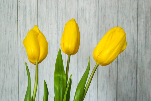 Krásná boquet žlutých tulipánů před šedá pruhovaná stěna - Fotografie, Obrázek