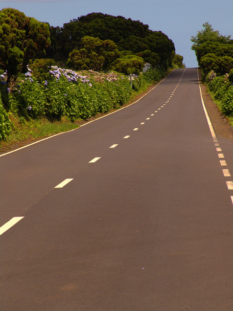 Дороги на острові Azores
 - Фото, зображення