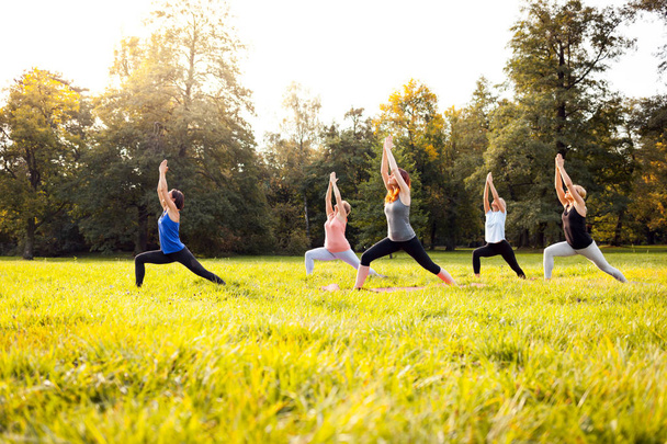 Mixed age group of people practicing yoga outside in the park - Photo, image