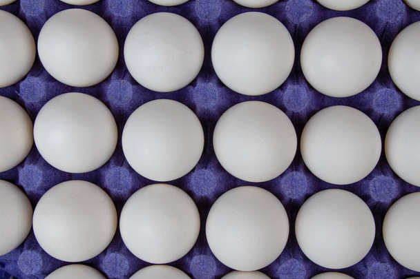weiße Eier im Karton auf weißem Hintergrund - Foto, Bild