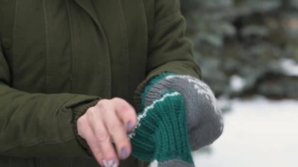 冬の森で毛皮の手袋を着ている女性。手をクローズ アップ。積雪のモミの木と美しい風景 - 映像、動画