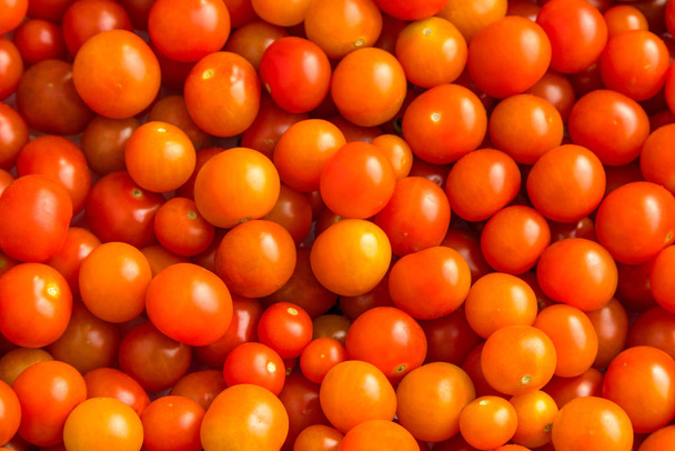 Świeżo zebranych czerwone pomidory cherry, sfotografowany z góry - Zdjęcie, obraz