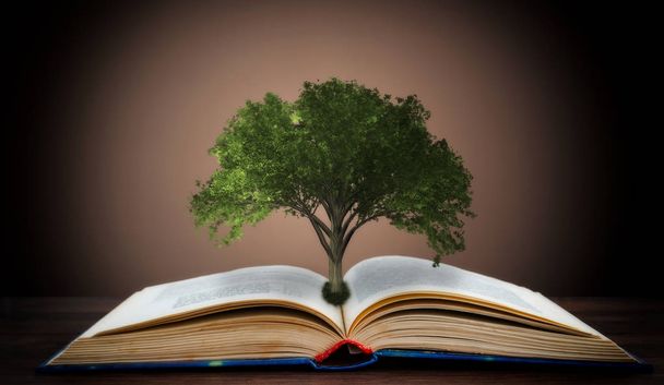 El concepto de un libro o un árbol del conocimiento con un árbol que crece de un libro abierto
 - Foto, imagen