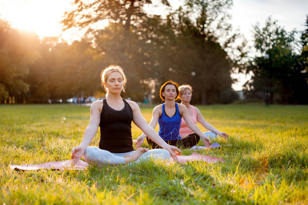 Yoga in the park, group of mixed age women practicing yoga and meditating while sunset - Zdjęcie, obraz