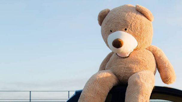 Giant teddy bears with red ribbons sitting on top of the car hood outdoor. Space for text. Love, valentines day concept - Photo, Image