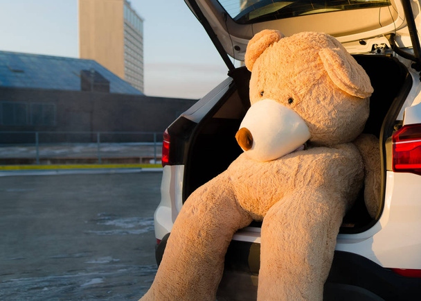 Ursos de pelúcia gigantes com fitas vermelhas sentados em cima do capô do carro ao ar livre. Espaço para SMS. Amor, dia dos namorados conceito - Foto, Imagem