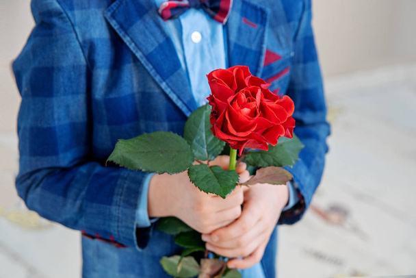 Little boy in suit standing with red rose, on a light background, st. valentines day concept - Photo, Image
