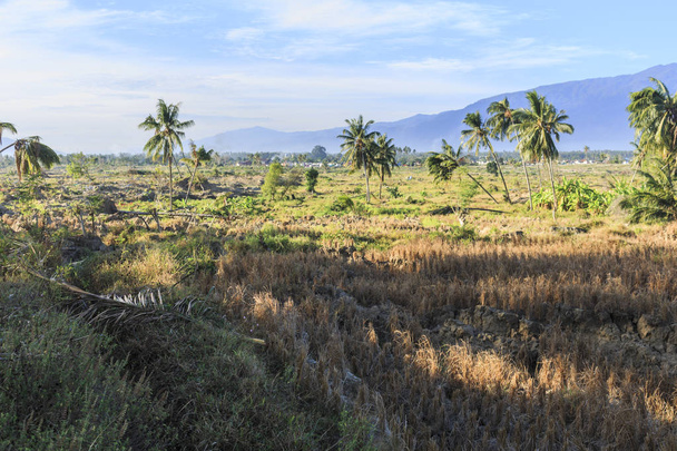 σοβαρές ζημιές από το σεισμό και υγροποίηση φυσικές καταστροφές στο χωριό Petobo, πόλη Palu, κεντρικό Sulawesi - Φωτογραφία, εικόνα