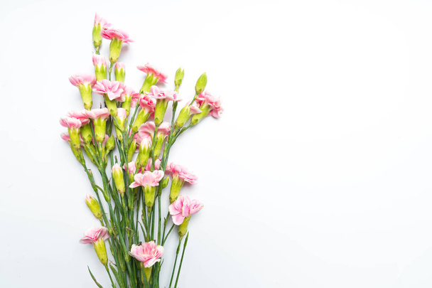 pink carnations flower for on white background - Fotó, kép