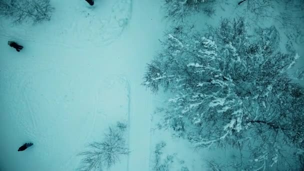 Muž jde lyžování, Bruslení - Záběry, video