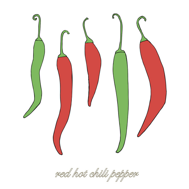 Hot Red Hot chili peppers ręka ciągnione czerwony i zielony szkicu. Przyprawy, przyprawy czarno-biały wzór elementu Stockowa ilustracja wektorowa dla sieci web, do druku, projektowanie produktu, pakowania projektu - Wektor, obraz