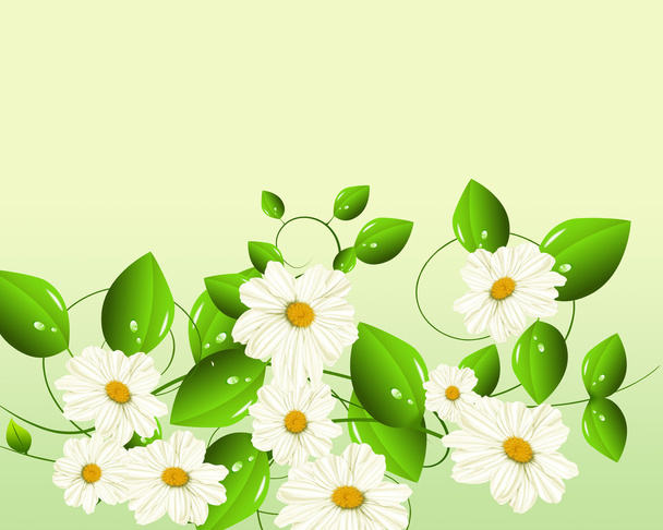 Spring floral postcard. - Vector, Image