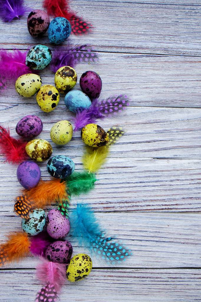 Colored colored quail eggs, with colorful feathers on white wooden background, happy Easter concept - Photo, Image