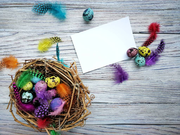 Farbige farbige Wachteln Eier mit bunten Federn auf weißem Holz Hintergrund, happy Easter-Konzept - Foto, Bild