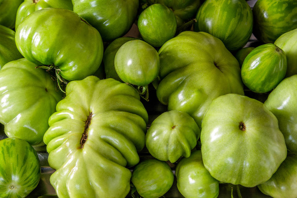 生の緑の異なるサイズのトマト - 写真・画像