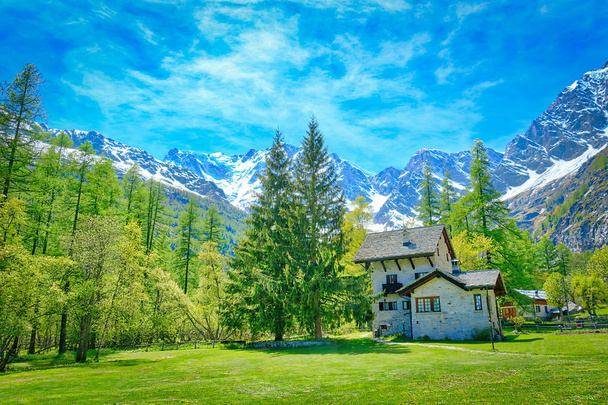 Alpine landschap in de zomer - Foto, afbeelding