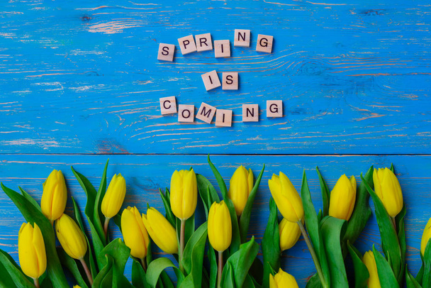 spring is coming text. tulips overhead on blue wooden background. copy space - Foto, Imagem