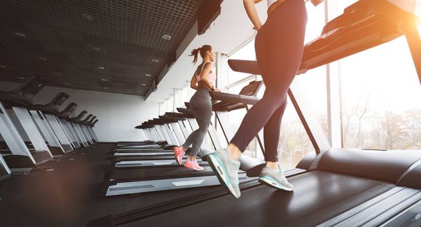 Running together. Women running on treadmill at gym - Photo, Image
