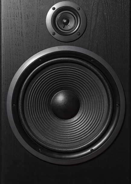 Hifi black loud speaker box in close up.Professional audio equipment for dj,musician,party. High quality sound recording studio equip.Focus on hi-fi diffuser bullet in wood cabinet box. - Photo, image