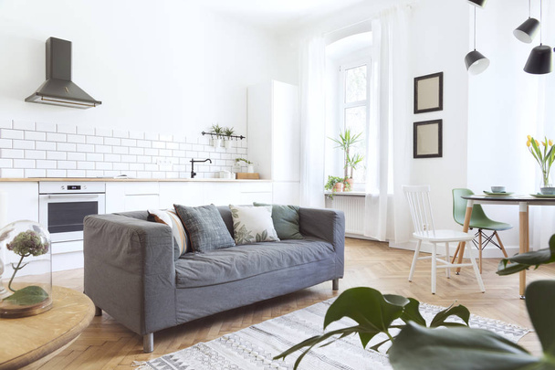 Modern and design scanidnavian open space with kitchen and living room. Sunny and bright space whit white brick walls , a lot of plants and sofa. - Foto, Imagem