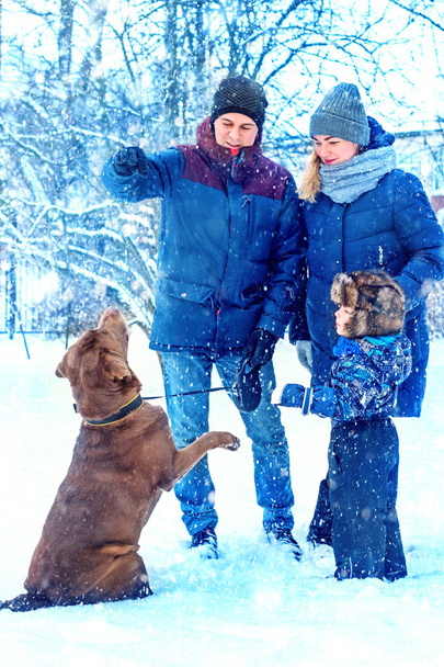 glückliche Familie spielt mit Hund im Winter. schöne, romantische Atmosphäre an einem verschneiten Wintertag. das Konzept der Beziehungen. - Foto, Bild