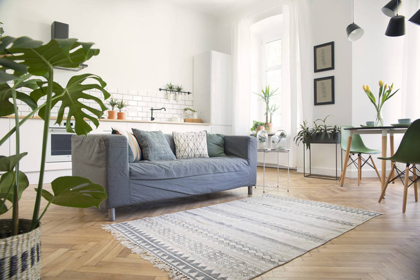 Modern and design scanidnavian open space with kitchen and living room. Sunny and bright space whit white brick walls , a lot of plants and sofa. - Foto, Bild